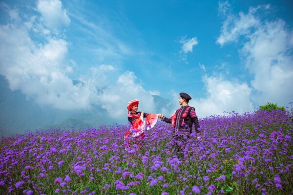 Sapa tháng 5 Sapa tháng 5