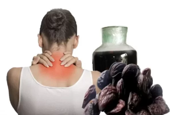 Tác dụng chữa bệnh của hạt dổi ngâm rượu Tác dụng chữa bệnh của hạt dổi ngâm rượu