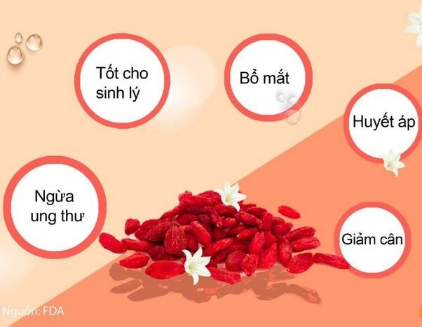 Tác dụng của kỷ tử và táo tàu Tác dụng của kỷ tử và táo tàu