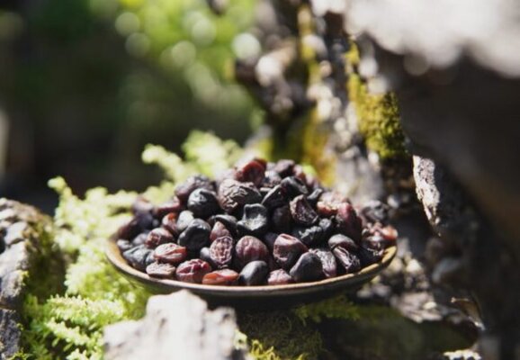 Hạt dổi dùng trong ẩm thực Tây Bắc như thế nào