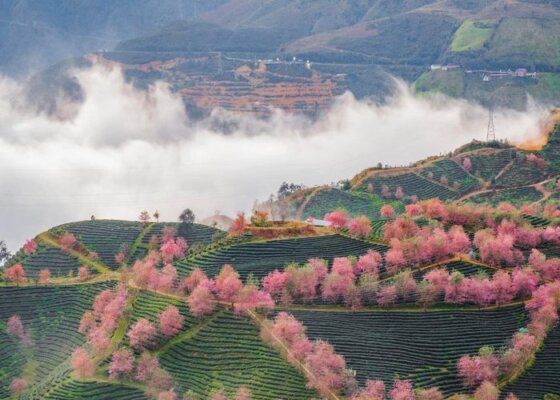 du lịch sapa tháng 5 du lịch sapa tháng 5