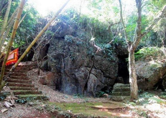 Động tiên phi và những điều kỳ thú Động tiên phi và những điều kỳ thú