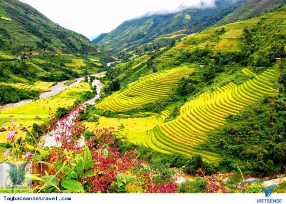 Thời tiết Sapa tháng 5 Thời tiết Sapa tháng 5