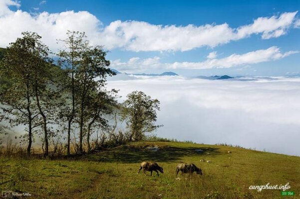 Du lịch Y Tý du lịch Y Tý