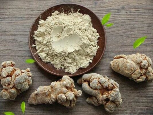 Uống nước củ tam thất