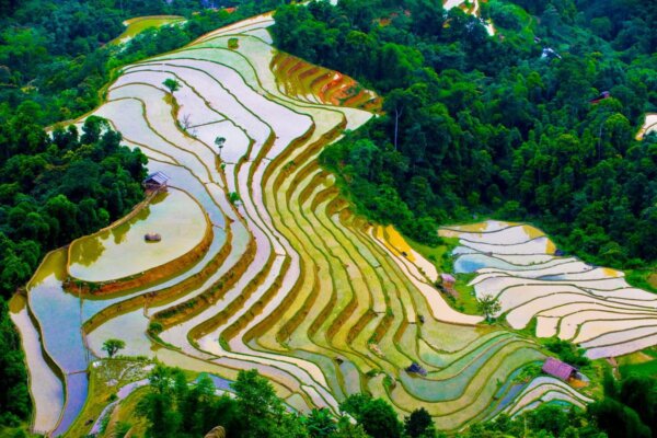 Du lịch Tây Bắc tháng 5 đừng quên khám phá Mù Cang Chải