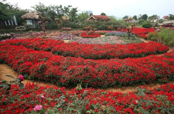 Sapa tháng 5 du lịch sapa tháng 5