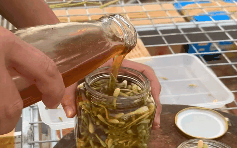 Hoa đu đủ đực ngâm mật ong