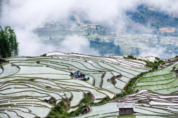 Thời tiết Sapa tháng 5 Thời tiết Sapa tháng 5
