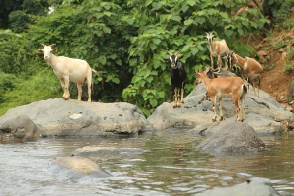 Khám phá Thác Thăng Thiên Hòa Bình