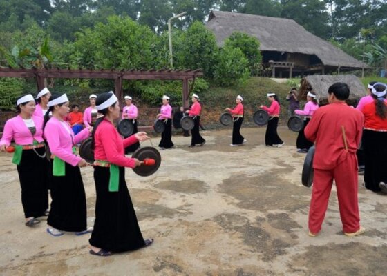 Động tiên phi và những điều kỳ thú Động tiên phi và những điều kỳ thú