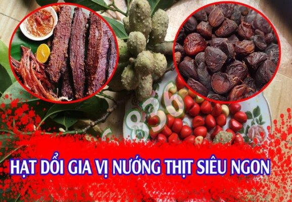 Hạt dổi nếp có tác dụng gì Hạt dổi nếp có tác dụng gì