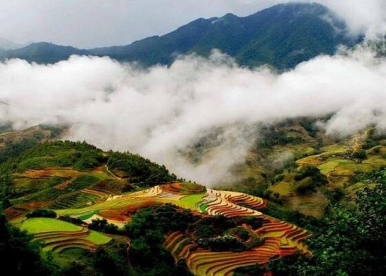 Sapa tháng 5 Sapa tháng 5
