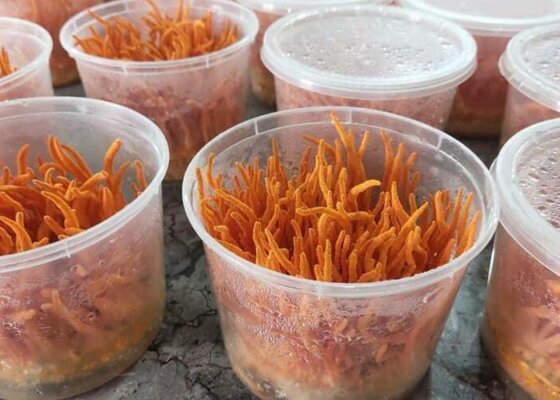 Cửa hàng Tây Bắc