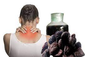 Hạt dổi ngâm rượu trị bệnh xương cốt Giá hạt dổi hiện nay