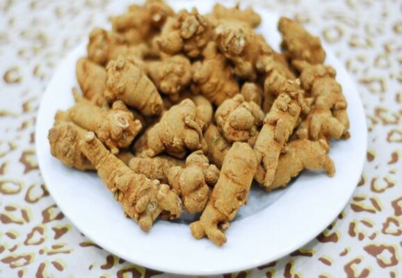 Củ tam thất có nóng không
