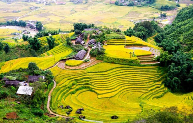 đi Y Tý mùa nào đẹp