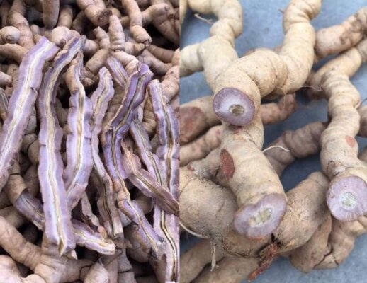 Tác dụng rượu ba kích Tác dụng rượu ba kích