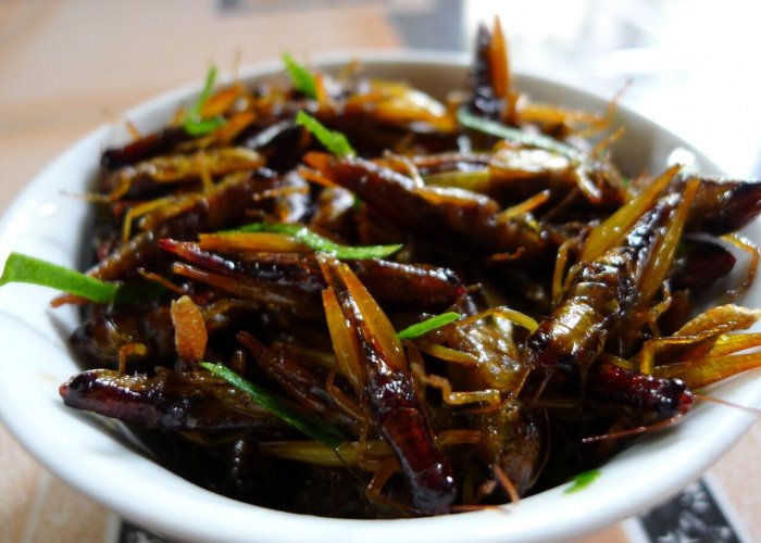 Muồm muỗm rang Muồm muỗm rang