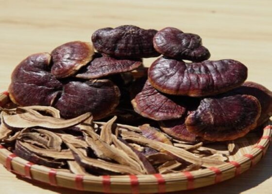 Cách sử dụng nấm lim xanh