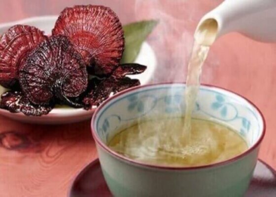 Tác dụng của nấm lim xanh với bệnh ung thư