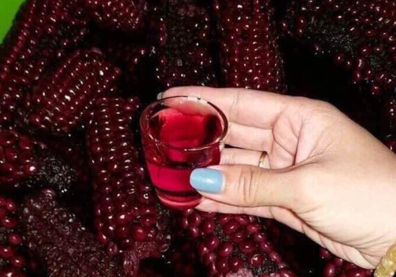 Tác dụng của ngô tím ngâm rượu