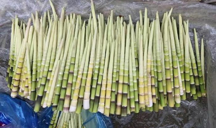 Thác Háng Tề Chơ Thác Háng Tề Chơ