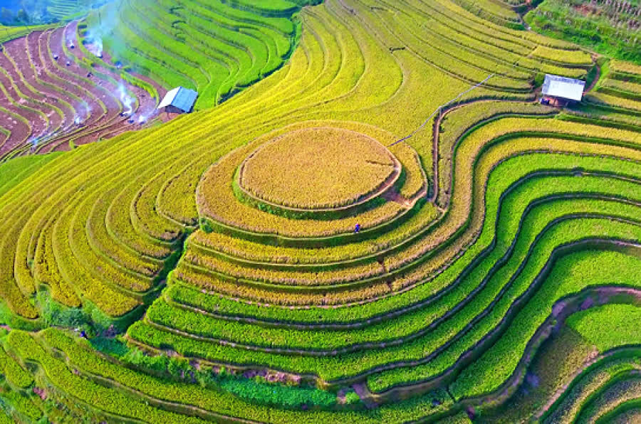 Mù Cang Chải tháng 12