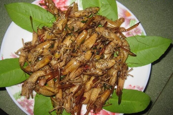 Muồm muỗm rang Muồm muỗm rang