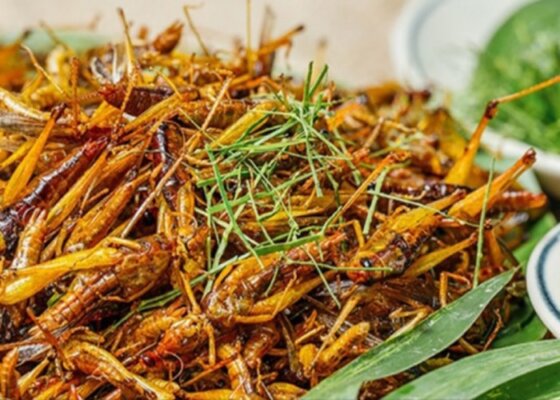 món ăn kinh dị Tây Bắc