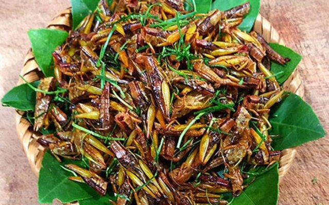 Con muồm muỗm và cách chế biến