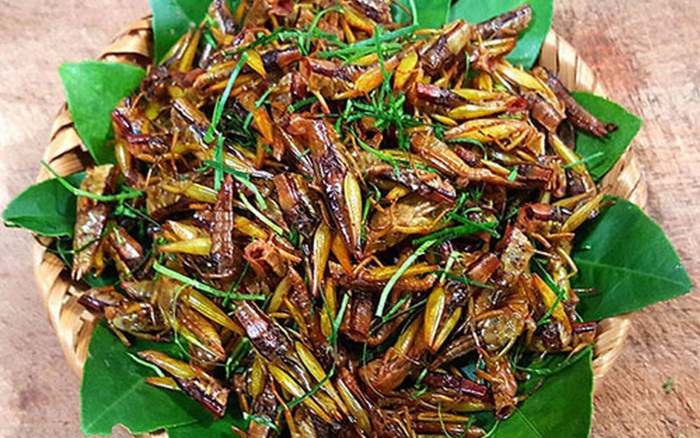 Thác Háng Tề Chơ Thác Háng Tề Chơ