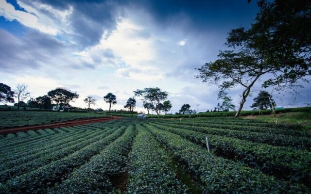 Suối Giàng Yên Bái Suối Giàng Yên Bái