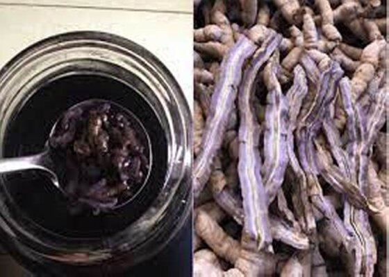 Tác dụng rượu ba kích Tác dụng rượu ba kích