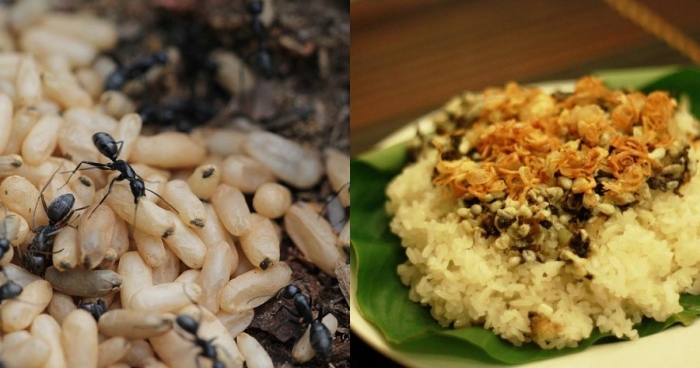 Thác Háng Tề Chơ Thác Háng Tề Chơ