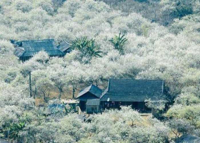 Du lịch Tây Bắc mùa đông Du lịch Tây Bắc mùa đông
