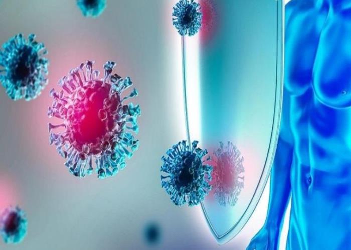 Mật ong đen và tác dụng không ngờ với sức khoẻ Mật ong đen và tác dụng không ngờ với sức khoẻ