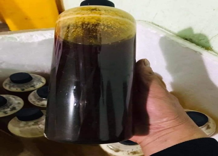 Mật ong đen và tác dụng không ngờ với sức khoẻ Mật ong đen và tác dụng không ngờ với sức khoẻ