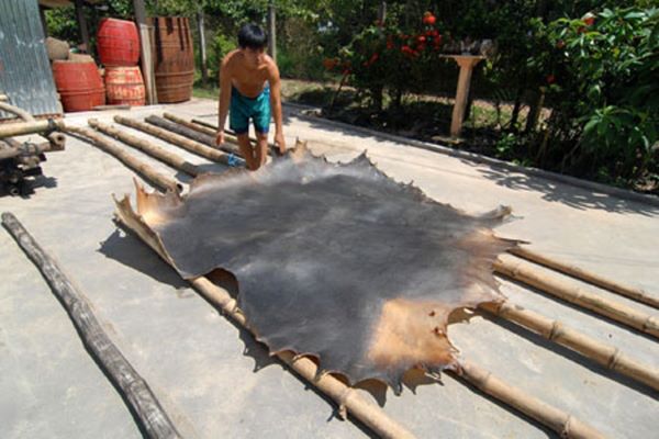 Cách nấu canh khoai môn da trâu Cách nấu canh khoai môn da trâu