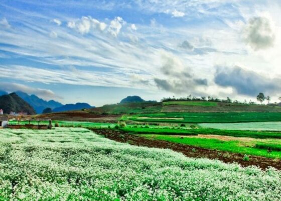 du lịch Tây Bắc mùa thu