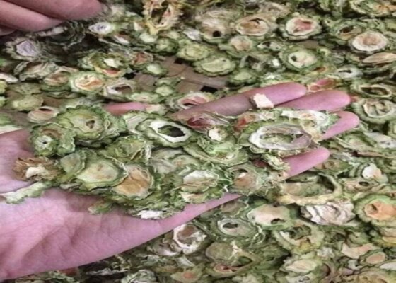 Lợi ích sức khỏe từ mướp đắng khô