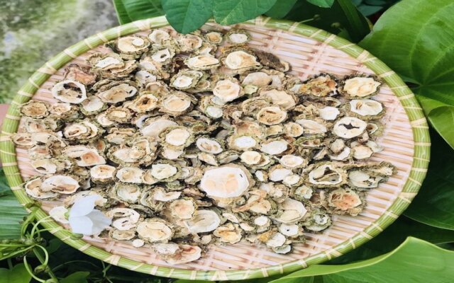 Khổ qua rừng sấy khô Khổ qua rừng sấy khô