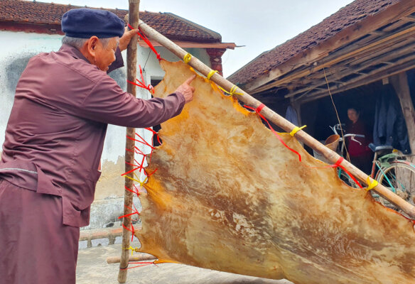 da trâu phơi khô có tác dụng gì?