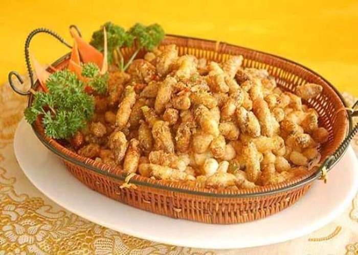 món ăn Tây Bắc món ăn Tây Bắc