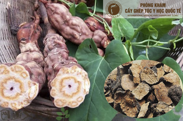 Viên uống hà thủ ô có tác dụng gì Viên uống hà thủ ô có tác dụng gì