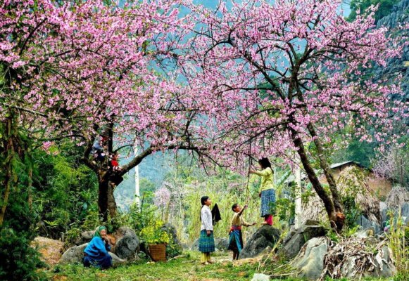 Khám phá Sapa mùa nào đẹp nhất Khám phá Sapa mùa nào đẹp nhất