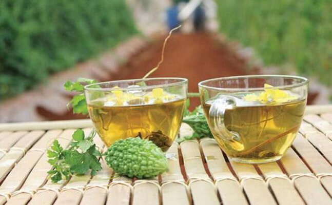 Dây khổ qua rừng khô và 1 số lợi ích Dây khổ qua rừng khô và 1 số lợi ích