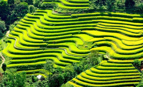 Bật mí cho bạn, đi Sapa mặc gì Bật mí cho bạn, đi Sapa mặc gì