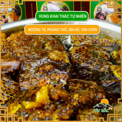 Ong rừng Tây Bắc