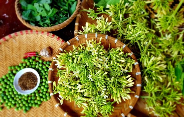 Các món nộm Tây Bắc: Tinh hoa ẩm thực núi rừng